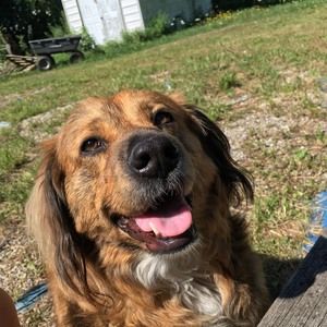 Meet your Posher, Aaron